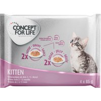 4x85g Kitten Concept for Life - Pâtée pour chat