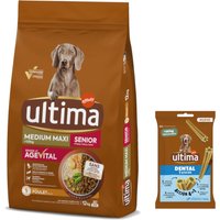 Ultima Hundfoder + 180 g Dental Sticks Medium / Maxi på köpet! - Medium / Maxi Senior kyckling 12 kg
