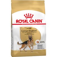 11kg Adult Berger allemand Royal Canin pour chien
