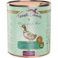Terra Canis Graanvrij Voordeelpakket 12 x 800 g - Eend met pompoen, aardbeien & vlierbes