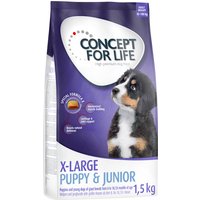 Concept for Life X-Large Puppy & Junior - 4 x 1,5 kg