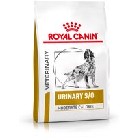 Multipack Risparmio! 2 x Royal Canin Veterinary Crocchette per cani - 2 x 12 kg Urinary S/O Moderate Calorie UMC 20