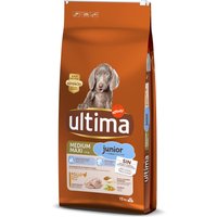 12kg Medium / Maxi Junior poulet Ultima Croquettes pour chien