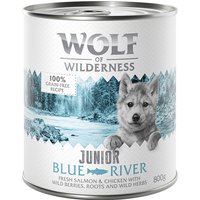 24x800g Junior Blue River, poulet, saumon Wolf of Wilderness - Pâtée pour chien