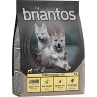 1kg Junior poulet, pommes de terre, SANS CÉRÉALES Briantos Croquettes pour chien à prix mini !