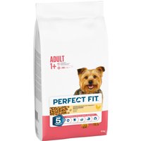 Lot PERFECT FIT pour chien - Adult (