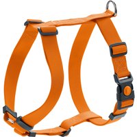 Lot : harnais HUNTER London Vario Rapid + laisse London, orange pour chien - harnais taille M + laisse 200 x 1,5 cm