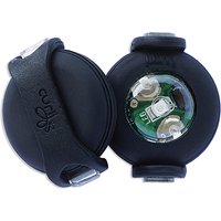 LED luumi curli per collare o guinzaglio (2 pz…