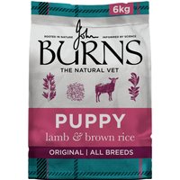 Burns Puppy Original - Lamb & Rice - 6 kg