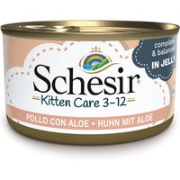 6x85g Pui cu aloe Kitten Schesir Hrană umedă în gelatină pisici