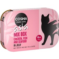 24x170g 4 saveurs Cosma Thai Nourriture pour chat