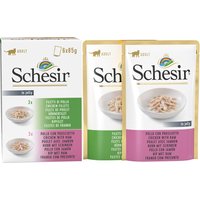 Schesir en gelée ou en sauce 6 x 85 g pour chat - lot mixte filet de poulet + poulet, jambon en gelée