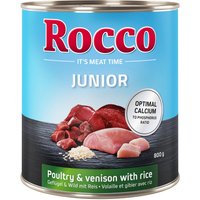 6x800g Rocco Junior volaille, gibier, riz - Pâtée pour chien