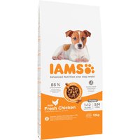 Lot IAMS Advanced Nutrition 2 x 12 kg - Puppy Small & Medium poulet