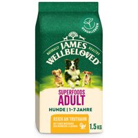 James Wellbeloved Superfoods Adult Dog Hypoallergenic med kalkon, grönkål & quinoa - 1,5 kg