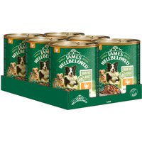 James Wellbeloved Grain Free Adult Dog Hypoallergenic med kalkon - 6 x 800 g