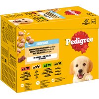 Pedigree Junior Pouch Multipack - Ekonomipack: 24 x 100 g Mixed Selection i gelé (4 sorter)