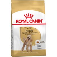 2x7,5kg Caniche Adult Royal Canin - Croquettes pour chien
