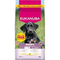 15 + 3 kg på köpet! 18 kg Eukanuba Premium Nutrition - Puppy Large & Giant Breed kyckling