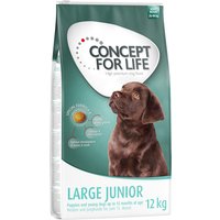 2x12kg Large Junior Concept for Life - Croquettes pour Chiot