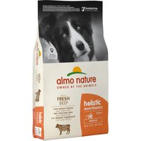 Almo Nature Holistic Adult Medium Nötkött & ris - 12 kg