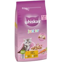 Whiskas Junior Kyckling - 1,9 kg