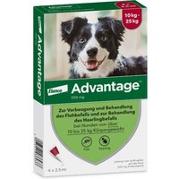 2 x 4 Pipetten Advantage® 250 voor honden van 10 kg tot minder dan 25 kg - Dubbelpak - NL