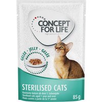12x85g Sterilised Cats saumon + Sterilised Cats en gelée Concept for Life - pour chat