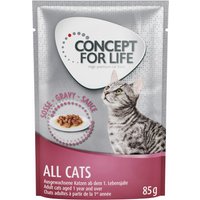 Concept for Life All Cats - As an Add-on: 12 x 85g All Cats in Gravy Wet Food