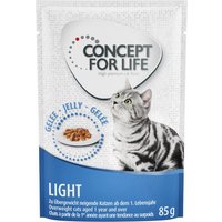 Ekonomipack: Concept for Life 48 x 85 g - Light Cats i gelé