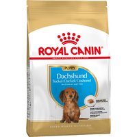 Royal Canin Dachshund Puppy - dog dry food - Economy Pack: 3 x 1.5kg