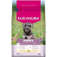 2x3kg Eukanuba Premium Nutrition Puppy Small Breed aliment sec pour chiens au poulet