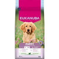 Eukanuba Premium Nutrition Puppy Large & Giant Breed cordeiro e arroz - 12 kg