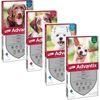 Lista prodotti Advantix Spot-on per cane - 6 pipette per cani > 25 kg e < 40 kg (4,0 ml)