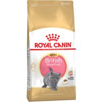 2kg Kitten British Shorthair Royal Canin pour chaton