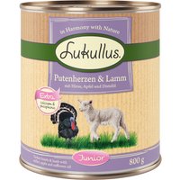 Lot Lukullus 24 x 800 g pour chien - Junior cœurs de dinde, agneau