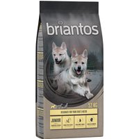 Lot Briantos SANS CÉRÉALES 2 x 12 kg pour chien - Junior poulet, pommes de terre