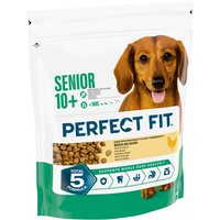 Perfect Fit Senior Dog (