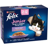 24x85g Felix Tendres Effilés Junior sélection mixte - Pâtée pour chat
