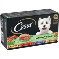 48 x 150 g Cesar Classics Sélection en terrine terrines du jardin - Pâtée pour chien