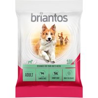 Briantos Adult agneau, riz pour chien - format d'essai : 100 g