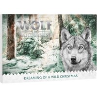 Wolf of Wilderness Adventskalender - frystorkade RAW-snacks - 201 g (3 x 67 g)