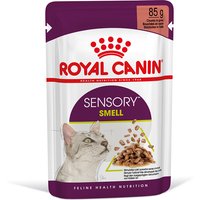 48x85g Sensory Smell en sauce Royal Canin - Pâtée pour chat