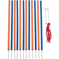 Kit complet Agility pour chien Fun & Sport