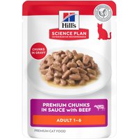 Hill's Science Plan Adult 1 - 6 - Saver Pack: Beef (24 x 85g)