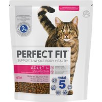 Perfect Fit Sterile 1+ Rico em Salmão - Pack económico: 5 x 1,4 kg
