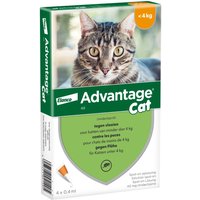 Advantage® 40 pour chat et lapin < 4 kg - 8 mois de protection (2 x 4 pipettes)