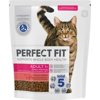 Perfect Fit Sterile 1+ Rich in med nötkött - Ekonomipack: 5 x 1,4 kg