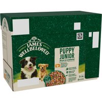 James Wellbeloved Puppy & Junior Hypoallergenic Pouches - Turkey in Gravy - Saver Pack: 48 x 90g