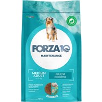 Forza 10 Medium Maintenance med fisk - 12 kg